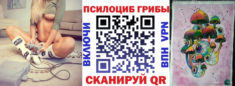 Купить где  Тобольск  Псилоцибиновые грибы Psilocybine cubensis 
